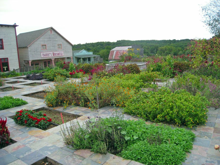 Ozark Ramblings Baker Creek Heirloom Seeds